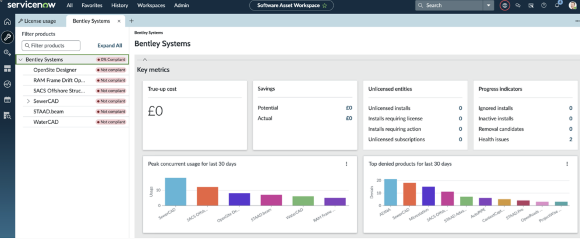 Software Asset Management Professional for Engineering Applications