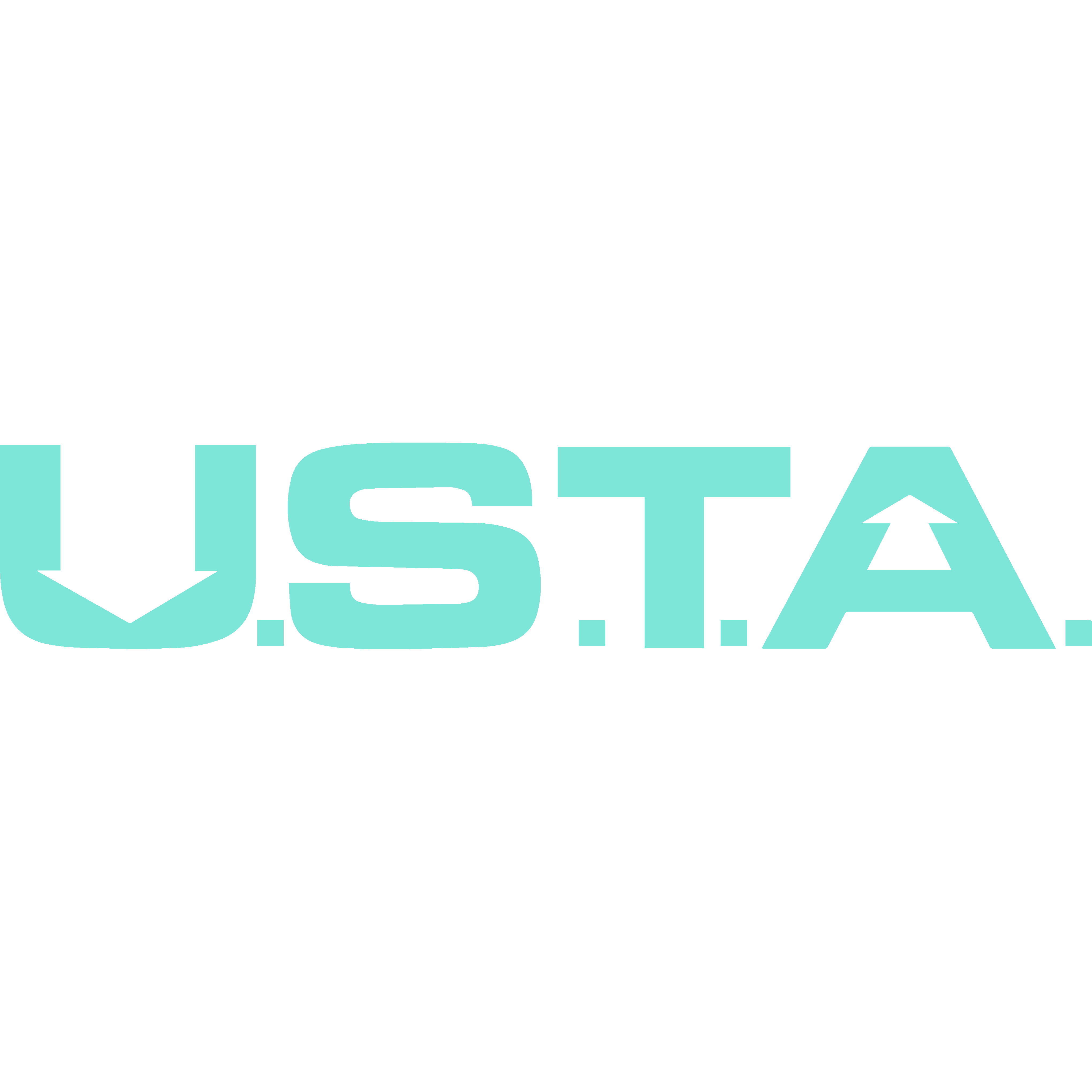 USTA Payment Card Fraud Intelligence