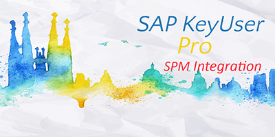 KeyUser Pro for SAP - Pro Project (SPM Integration)