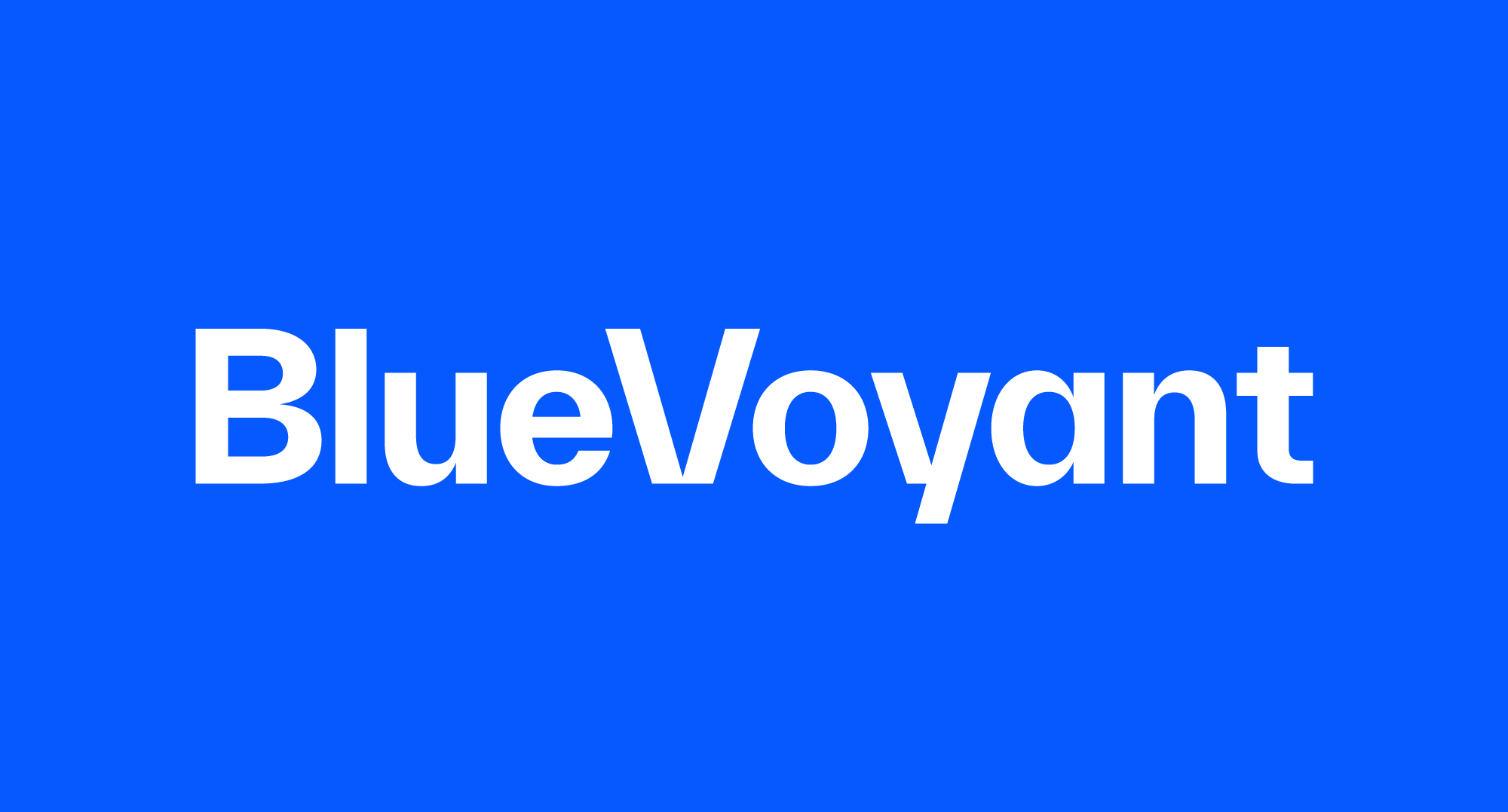 BlueVoyant Supply Chain Defense