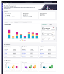 Cloud Cost Management Advanced