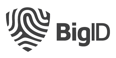 BigID Data Classification App