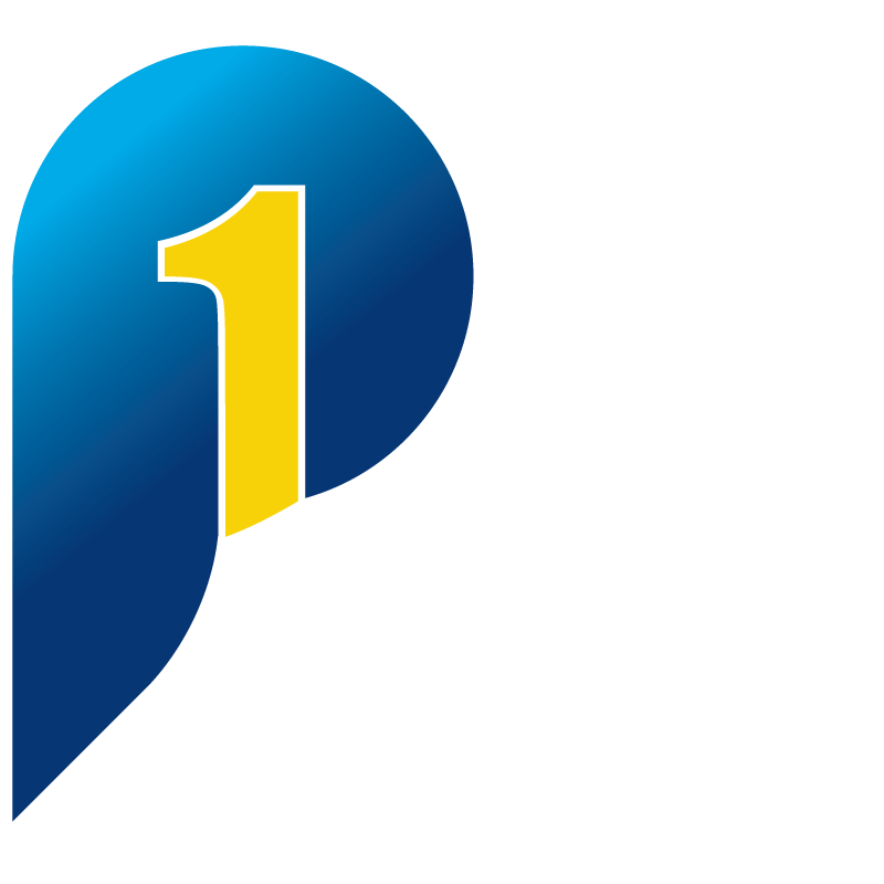 P1 Consulting SAM Evolution