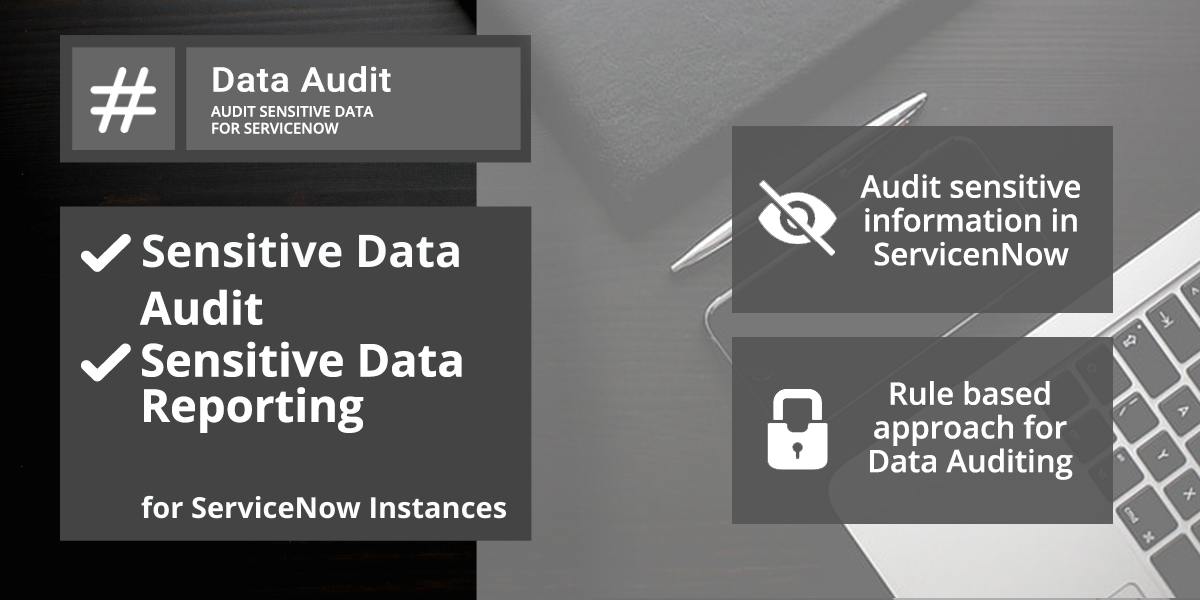 Data Audit